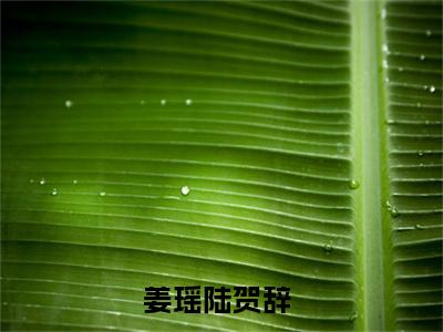 姜瑶陆贺辞精彩章节小说-姜瑶陆贺辞最新更新阅读