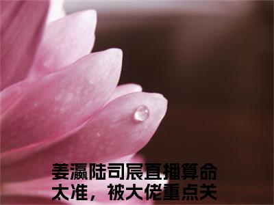 （热推新书）《姜瀛陆司宸》全文免费阅读最新章节大结局-直播算命太准，被大佬重点关注了无弹窗阅读