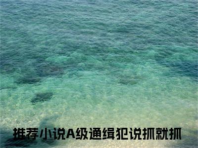 A级通缉犯说抓就抓（孙平安谢平）完整全文在线阅读_孙平安谢平小说全章节目录阅读（A级通缉犯说抓就抓）