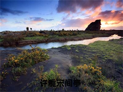 许栀宋间亭小说全文免费阅读-（许栀宋间亭）抖音新书热荐许栀宋间亭全文免费阅读