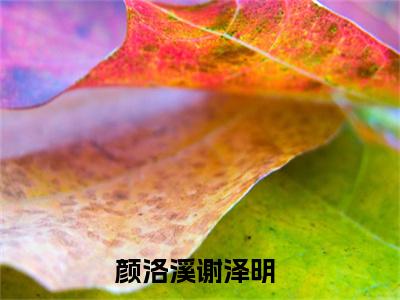 高赞小说颜洛溪谢泽明（颜洛溪谢泽明小说免费阅读）完结阅读_颜洛溪谢泽明全文免费阅读最新章节大结局