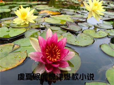 虞夏眠闻惊津小说(虞夏眠闻惊津)全文免费阅读无弹窗大结局 虞夏眠闻惊津小说全文无删减版