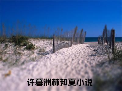 许暮洲林知夏（许暮洲林知夏）最新章节免费阅读全文-许暮洲林知夏完结小说在线阅读