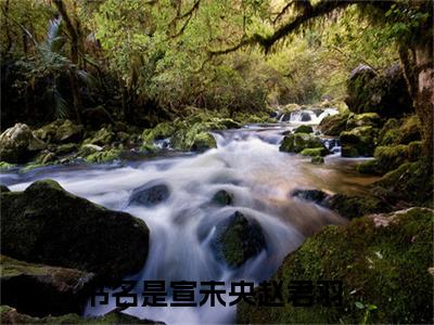 宣未央赵君羽小说（宣未央赵君羽）全文免费阅读无弹窗_宣未央赵君羽全文免费阅读无弹窗最新章节列表笔趣阁