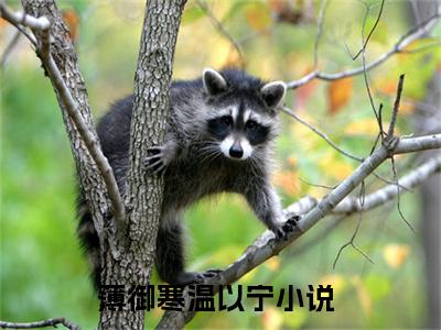 薄御寒温以宁（薄御寒温以宁）全文免费阅读无弹窗大结局_(薄御寒温以宁免费阅读)薄御寒温以宁无弹窗最新章节列表_笔趣阁（薄御寒温以宁）