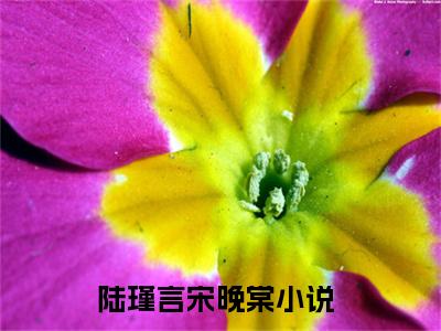 陆瑾言宋晚棠（陆瑾言宋晚棠）全文免费阅读无弹窗大结局_（陆瑾言宋晚棠小说全文免费阅读）陆瑾言宋晚棠最新章节列表笔趣阁（陆瑾言宋晚棠）