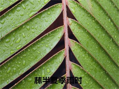 林半夏季雨时（林半夏季雨时）全文免费阅读无弹窗大结局_林半夏季雨时全文阅读最新章节列表_笔趣阁（林半夏季雨时）