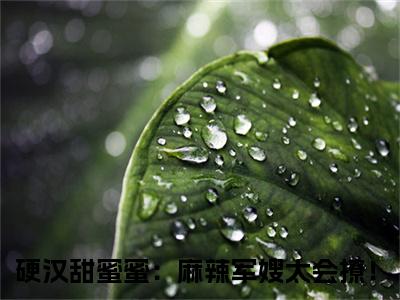 【新书】桑枝门少庭全文全章节免费阅读-硬汉甜蜜蜜：麻辣军嫂太会撩！小说免费阅读无弹窗最新章节列表