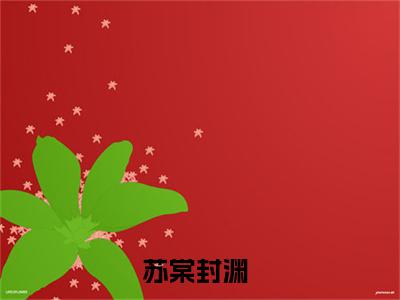 酥软(苏棠封渊)全文免费阅读无弹窗_酥软（苏棠封渊）全文阅读-笔趣阁（酥软）