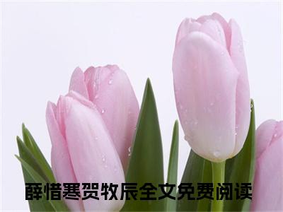 薛惜寒贺牧辰全文免费阅读无弹窗大结局_（薛惜寒贺牧辰阅读无弹窗）薛惜寒贺牧辰最新章节列表_笔趣阁