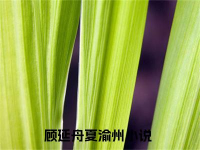 顾延舟夏渝州（顾延舟夏渝州）全文免费阅读无弹窗大结局_顾延舟夏渝州小说全文免费阅读最新章节列表_笔趣阁