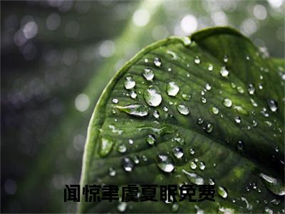 闻惊聿虞夏眠（闻惊聿虞夏眠）免费阅读-闻惊聿虞夏眠小说免费观看