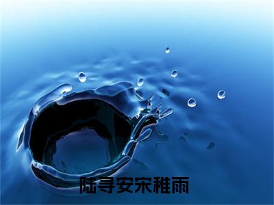 陆寻安宋稚雨（陆寻安宋稚雨）全文免费阅读无弹窗大结局_陆寻安宋稚雨全文免费阅读（陆寻安宋稚雨）最新章节列表_笔趣阁（陆寻安宋稚雨）