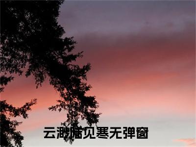 （云渺陆见寒）小说免费阅读-云渺陆见寒全文无弹窗阅读