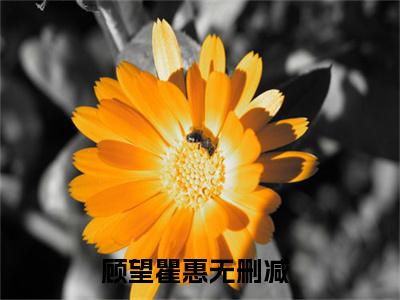 顾望瞿惠（顾望瞿惠）全文免费阅读最新章节大结局_顾望瞿惠最新章节列表_笔趣阁