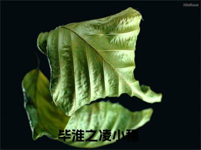 毕淮之凌小穗小说（毕淮之凌小穗）最新章节阅读-毕淮之凌小穗最新热点小说