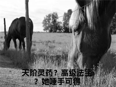 天阶灵药？高级法宝？她唾手可得（林芷安桑晚）全文免费阅读无弹窗大结局_天阶灵药？高级法宝？她唾手可得最新章节列表-笔趣阁林芷安桑晚