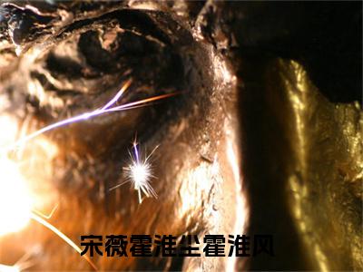 宋薇霍淮尘霍淮风（宋薇霍淮尘霍淮风 ）全文免费阅读_宋薇霍淮尘霍淮风言诺诺,井傅宸 小说最新章节列表笔趣阁