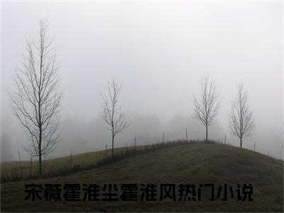 宋薇霍淮尘霍淮风（宋薇霍淮尘霍淮风全文免费）全文免费阅读大结局_（宋薇霍淮尘霍淮风）全文免费阅读无弹窗最新章节列表_笔趣阁（宋薇霍淮尘霍淮风）