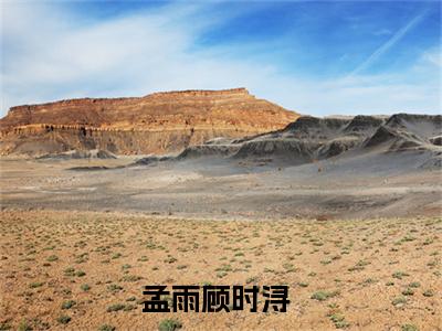 孟雨顾时浔宝藏小说推荐孟雨顾时浔-孟雨顾时浔完整免费阅读小说