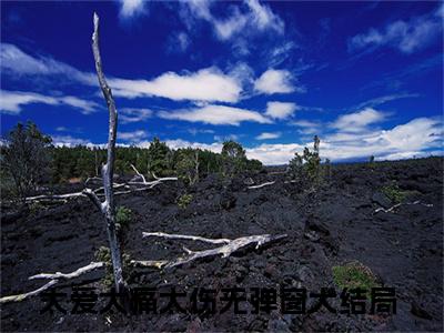 夏滢筠霍西城(太爱太痛太伤)全文无弹窗大结局_夏滢筠霍西城在线阅读无弹窗最新章节列表_笔趣阁