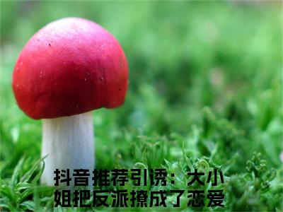 引诱：大小姐把反派撩成了恋爱脑（陆峥野林妤笙全章节完整版）免费阅读_（陆峥野林妤笙）引诱：大小姐把反派撩成了恋爱脑全文无删减免费阅读