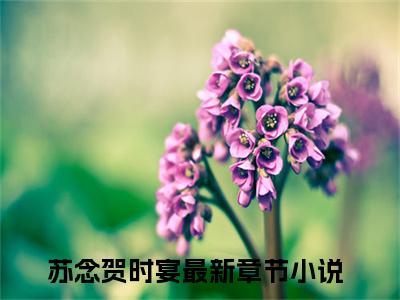 苏念贺时宴（苏念贺时宴）全文免费阅读无弹窗大结局_(苏念贺时宴小说免费阅读)_笔趣阁