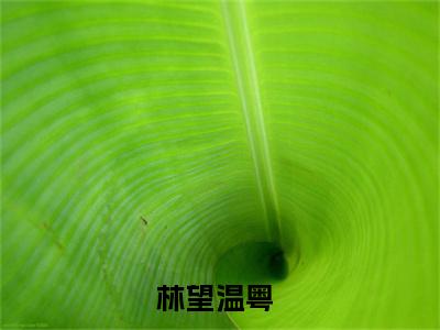 热文（林望温粤）美文阅读_热门小说主人公是（林望温粤）最新章节限时观看_笔趣阁