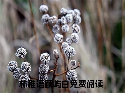 林稚语顾屿白（林稚语顾屿白）小说全文无广告阅读-林稚语顾屿白小说赏析