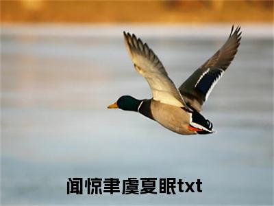 闻惊聿虞夏眠是什么小说-闻惊聿虞夏眠全文免费阅读无弹窗大结局（闻惊聿虞夏眠）最新章节阅读