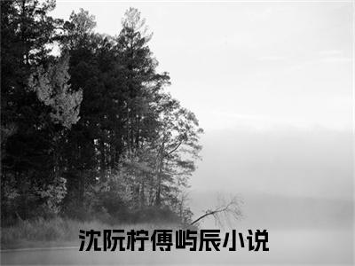 沈阮柠傅屿辰（沈阮柠傅屿辰）全文免费阅读（沈阮柠傅屿辰）小说无弹窗阅读