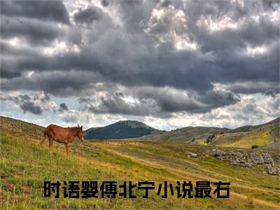 时语婴傅北宁精彩章节在线阅读_时语婴傅北宁免费观看（时语婴傅北宁）完结版_笔趣阁