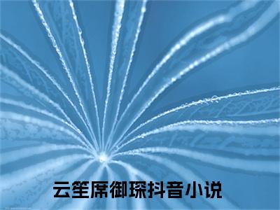 抖音热推新书云笙席御琛-抖音热推云笙席御琛无弹窗阅读