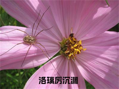 洛璃厉沉渊（洛璃厉沉渊）全集免费阅读无弹窗_(洛璃厉沉渊小说免费阅读)_笔趣阁