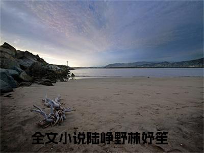 陆峥野林妤笙(陆峥野林妤笙)小说免费阅读大结局无弹窗_(陆峥野林妤笙)最新章节列表笔趣阁（陆峥野林妤笙）