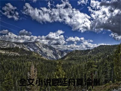 顾延舟夏渝州（顾延舟夏渝州）全文免费阅读（顾延舟夏渝州）小说无弹窗阅读