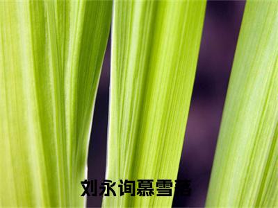 刘永询慕雪落（刘永询慕雪落）全文免费阅读无弹窗大结局_（刘永询慕雪落）刘永询慕雪落最新章节列表_笔趣阁（刘永询慕雪落）