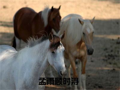 孟雨顾时浔（孟雨顾时浔)全文免费阅读无弹窗大结局_孟雨顾时浔（孟雨顾时浔）全文完整无删减版免费阅读（孟雨顾时浔）