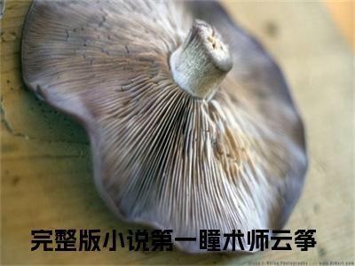 第一瞳术师云筝(第一瞳术师云筝)小说精彩免费内容_第一瞳术师云筝第一瞳术师云筝最新章节全文阅读（第一瞳术师云筝）