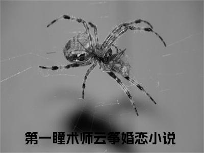 第一瞳术师云筝（第一瞳术师云筝）最新章节在线阅读 抖音新书热荐第一瞳术师云筝