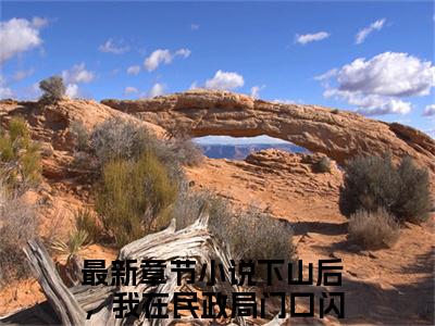 下山后，我在民政局门口闪婚京圈太子爷全文免费（陆北秦沈初棠）全文免费阅读无弹窗大结局_（陆北秦沈初棠全文免费下山后，我在民政局门口闪婚京圈太子爷）