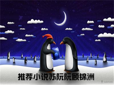 抖音新书热荐苏阮阮顾锦洲-小说全文完整版免费阅读