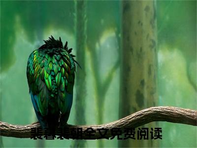 裴暮裴朝小说全文免费阅读 -裴暮裴朝在线完整版