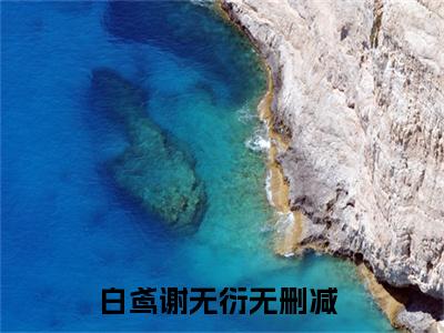 白鸢谢无衍（白鸢谢无衍）全文免费阅读无弹窗大结局_白鸢谢无衍在线阅读（白鸢谢无衍）