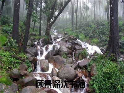 顾景深沈书涵（顾景深沈书涵）全文免费阅读无弹窗大结局_顾景深沈书涵最新章节列表-笔趣阁顾景深沈书涵