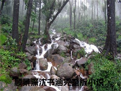 顾景深沈书涵(顾景深沈书涵)小说免费阅读无弹窗_(顾景深沈书涵)顾景深沈书涵最新章节列表笔趣阁（顾景深沈书涵）