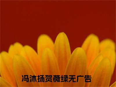 冯沐扬贺薇绿（冯沐扬贺薇绿）全文免费阅读大结局-冯沐扬贺薇绿最新章节列表免费阅读大结局