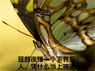 瑶颜夜瑾小说（一个下界凡人，凭什么当上神夫人）全文免费阅读无弹窗大结局_(一个下界凡人，凭什么当上神夫人)瑶颜夜瑾小说免费阅读无弹窗最新章节列表_笔趣阁（一个下界凡人，凭什么当上神夫人）