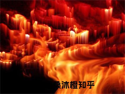 霍北望桑沐橙（霍北望桑沐橙无弹窗）全文免费阅读无弹窗大结局_霍北望桑沐橙最新章节列表_笔趣阁（霍北望桑沐橙无弹窗）