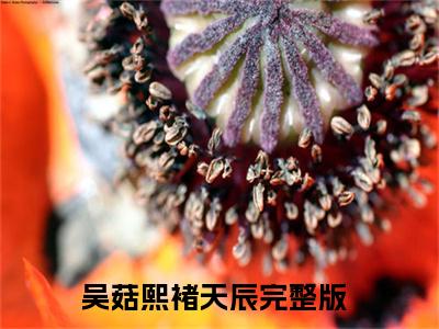 吴菇熙褚天辰（吴菇熙褚天辰）全文免费阅读无弹窗大结局_吴菇熙褚天辰最新章节列表_笔趣阁